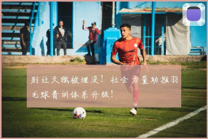 别让天赋被埋没！社会力量助推羽毛球青训体系升级！
